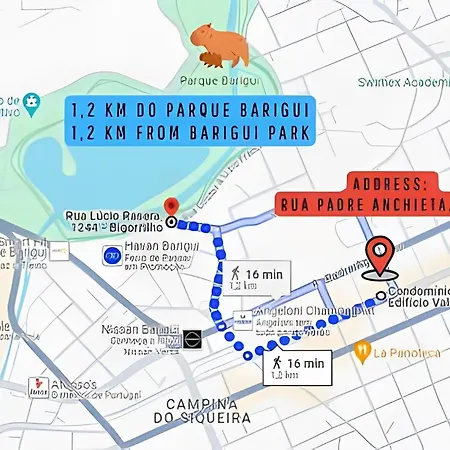 Piscina, Academia e Garagem | Próx. Barigui-3